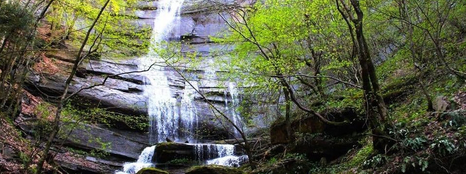 La foresta di Sasso Fratino è il primo sito montano patrimonio dell’Unesco in Emilia-Romagna